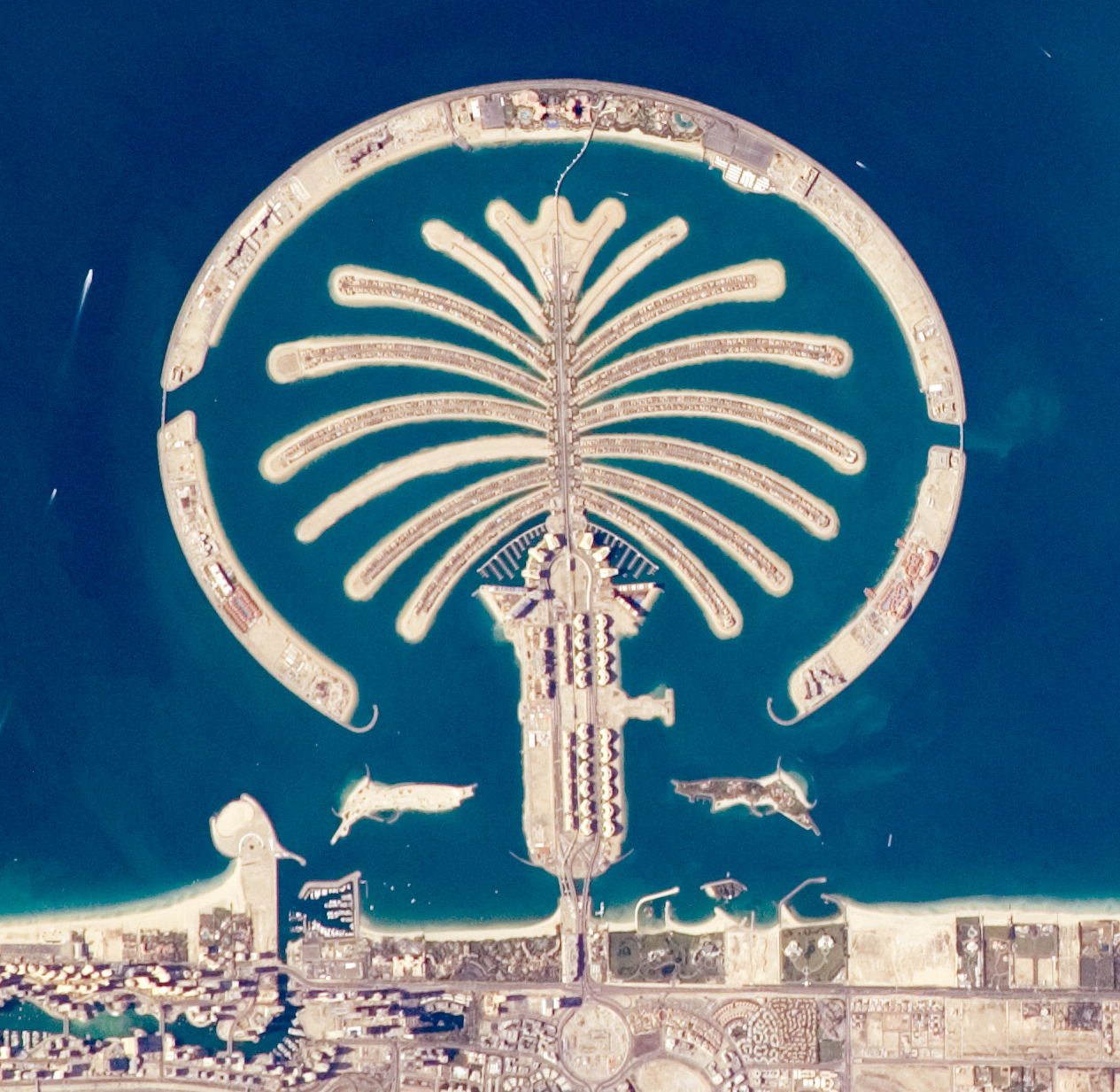 Competition venue